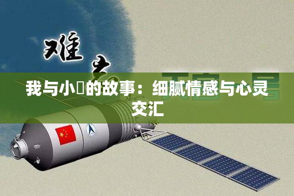 我与小娻的故事：细腻情感与心灵交汇