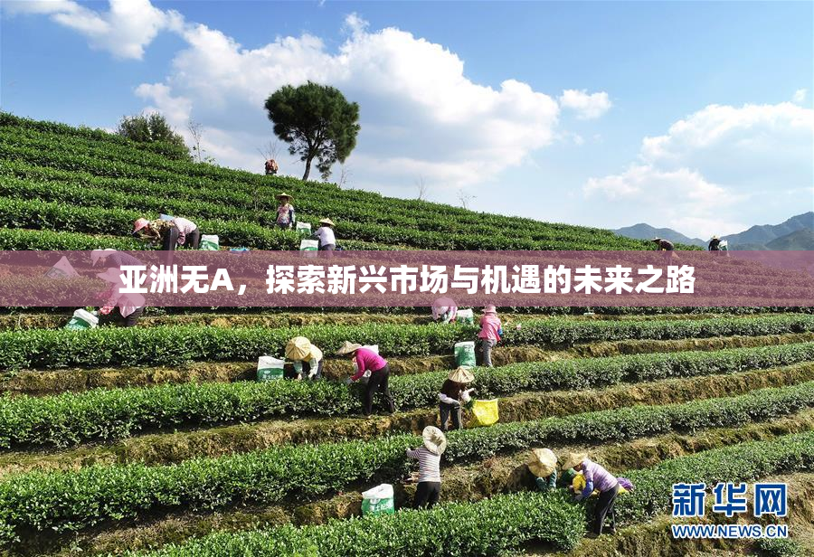 亚洲无A，探索新兴市场与机遇的未来之路