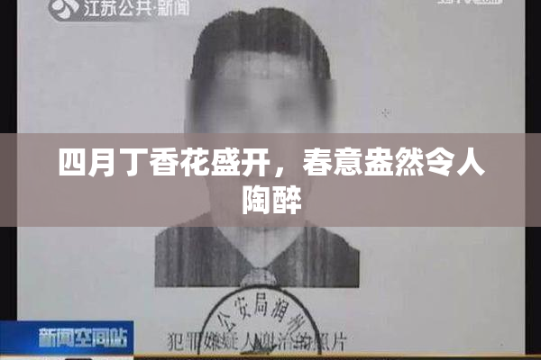 四月丁香花盛开，春意盎然令人陶醉