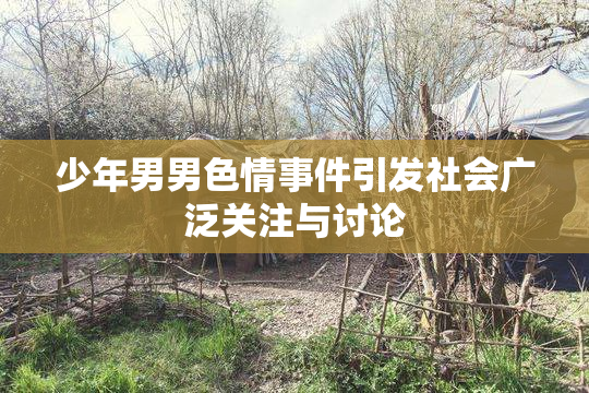 少年男男色情事件引发社会广泛关注与讨论