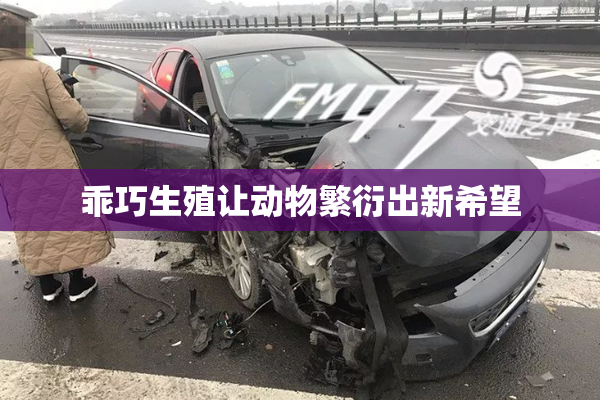 乖巧生殖让动物繁衍出新希望