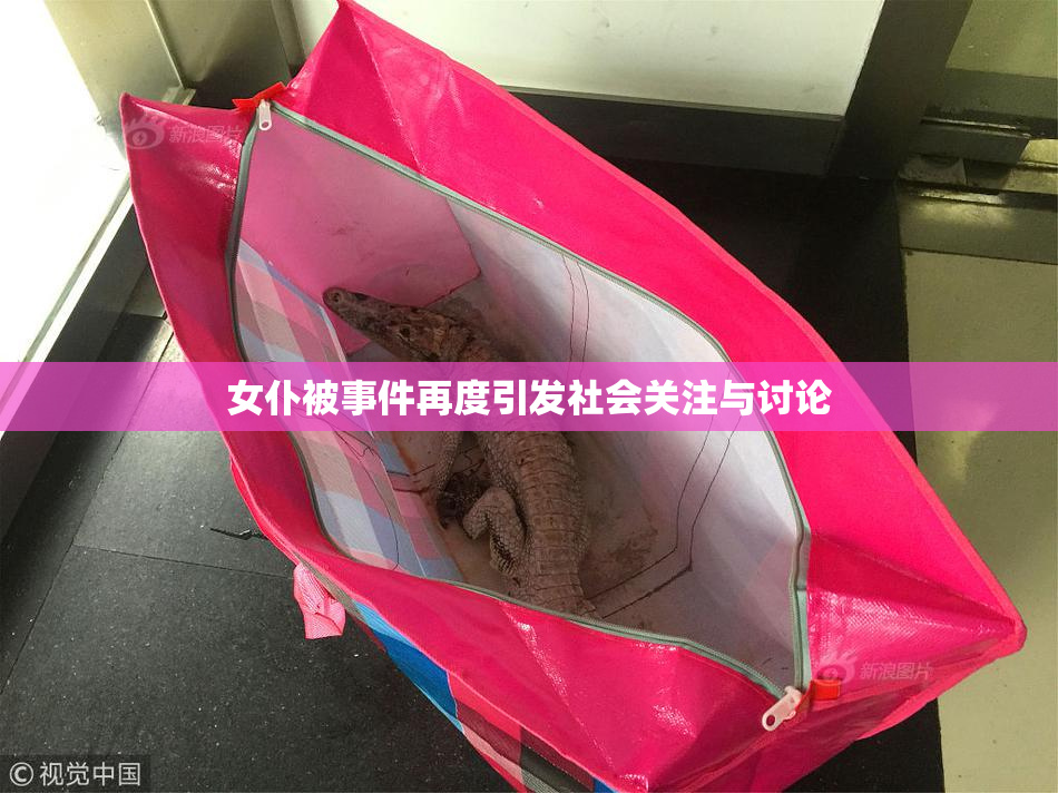 女仆被事件再度引发社会关注与讨论