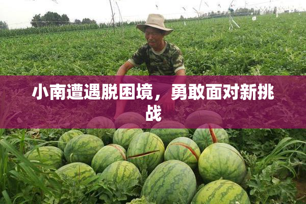 小南遭遇脱困境，勇敢面对新挑战