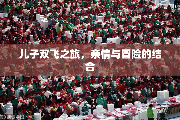 儿子双飞之旅，亲情与冒险的结合