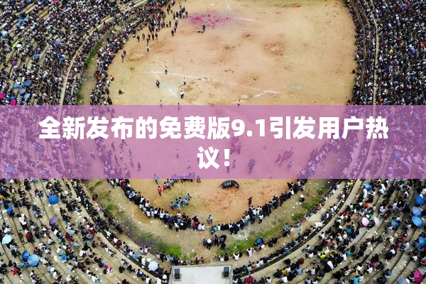 全新发布的免费版9.1引发用户热议！