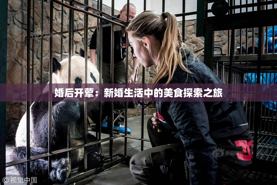 婚后开荤：新婚生活中的美食探索之旅