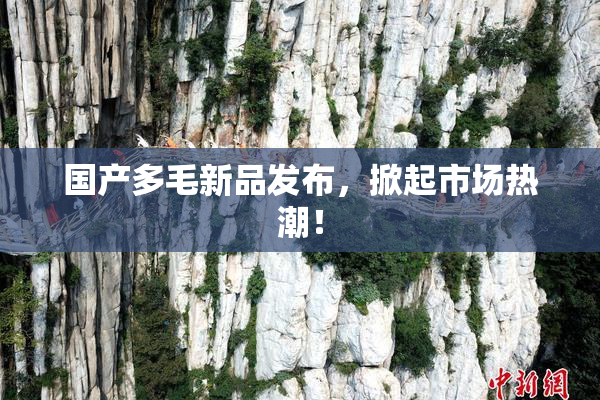 国产多毛新品发布，掀起市场热潮！