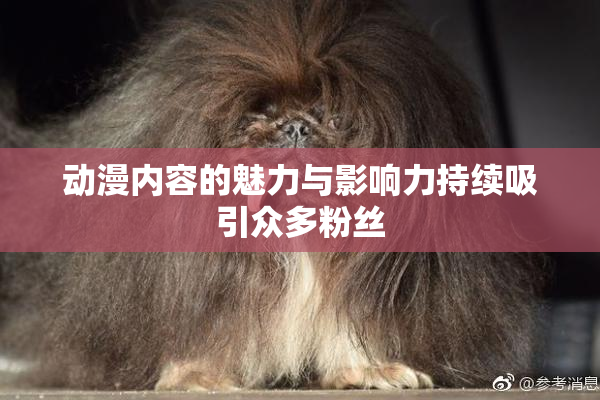 动漫内容的魅力与影响力持续吸引众多粉丝