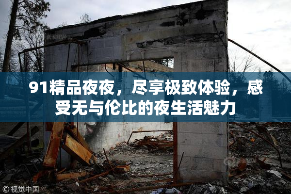 91精品夜夜，尽享极致体验，感受无与伦比的夜生活魅力