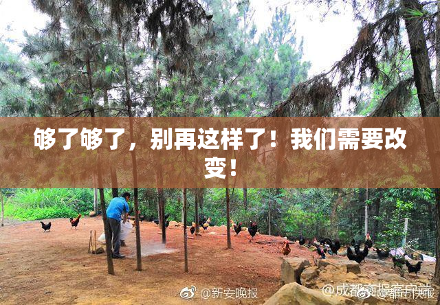 够了够了，别再这样了！我们需要改变！