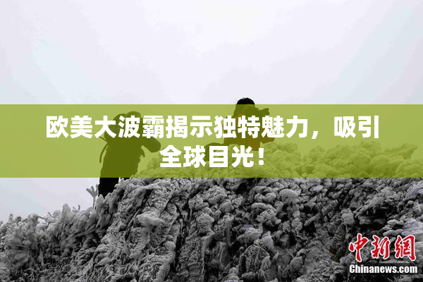 欧美大波霸揭示独特魅力，吸引全球目光！