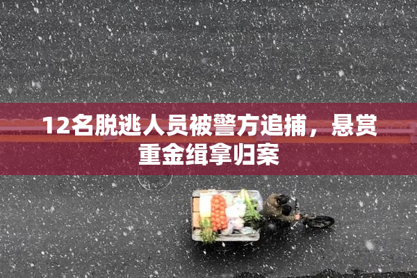 12名脱逃人员被警方追捕，悬赏重金缉拿归案