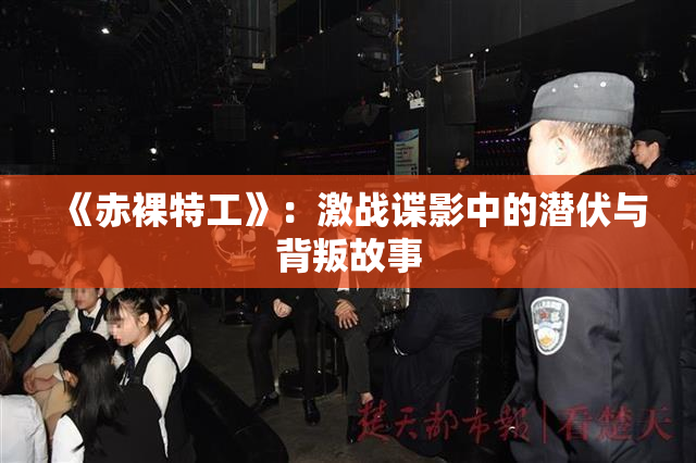 《赤裸特工》：激战谍影中的潜伏与背叛故事