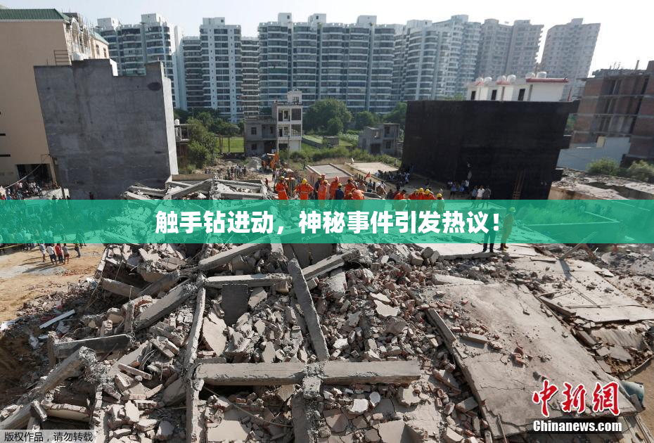 触手钻进动，神秘事件引发热议！