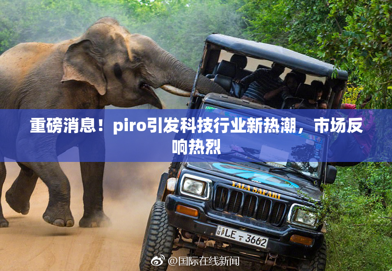 重磅消息！piro引发科技行业新热潮，市场反响热烈