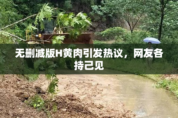 无删减版H黄肉引发热议，网友各持己见