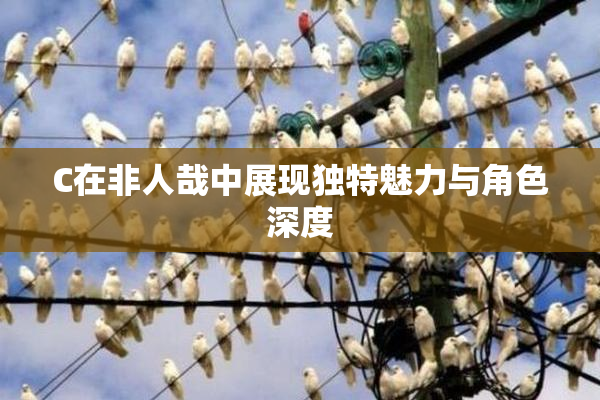 C在非人哉中展现独特魅力与角色深度
