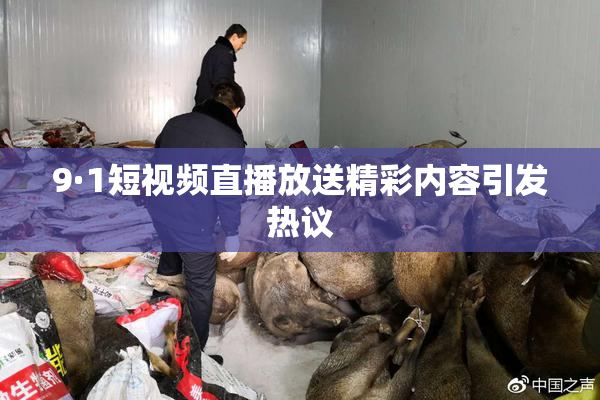 9·1短视频直播放送精彩内容引发热议