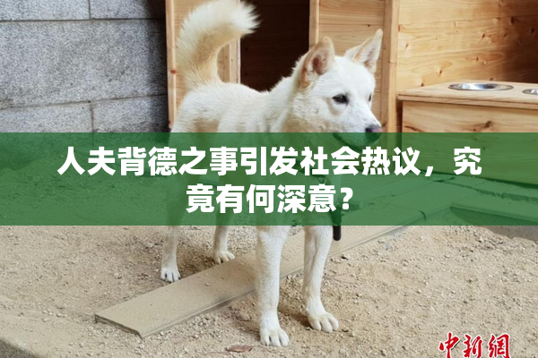 人夫背德之事引发社会热议，究竟有何深意？