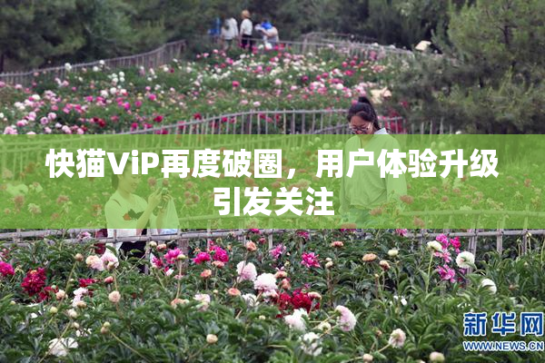 快猫ViP再度破圈，用户体验升级引发关注