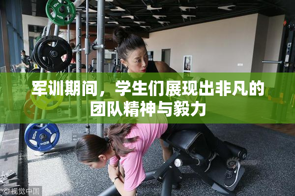 军训期间，学生们展现出非凡的团队精神与毅力