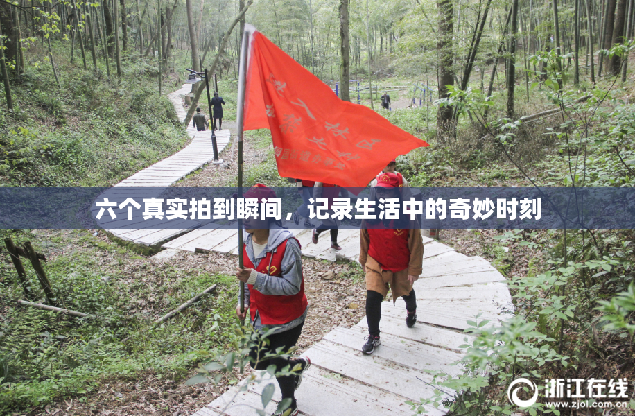 六个真实拍到瞬间，记录生活中的奇妙时刻