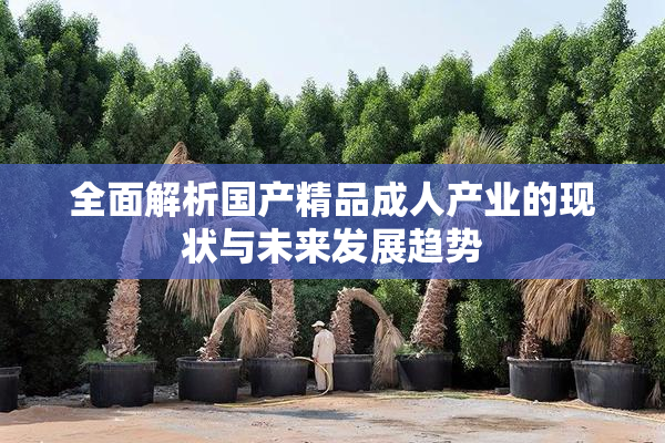 全面解析国产精品成人产业的现状与未来发展趋势