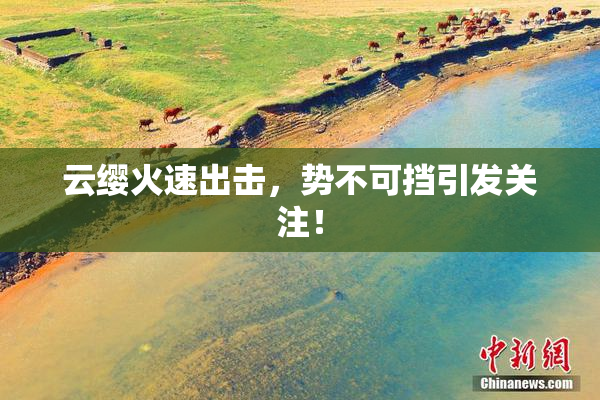 云缨火速出击，势不可挡引发关注！