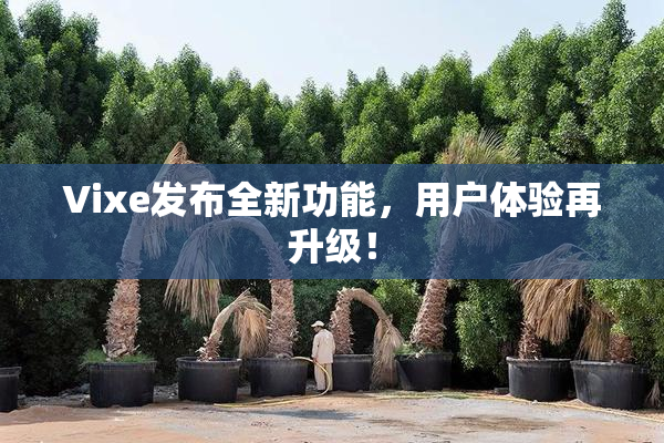 Vixe发布全新功能，用户体验再升级！