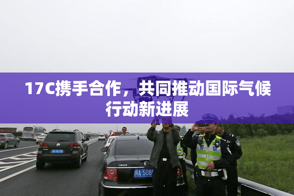 17C携手合作，共同推动国际气候行动新进展