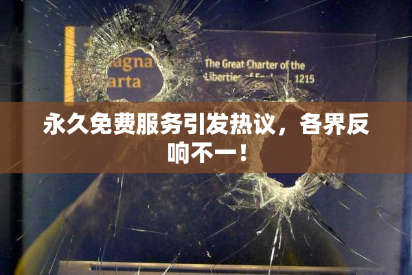 永久免费服务引发热议，各界反响不一！