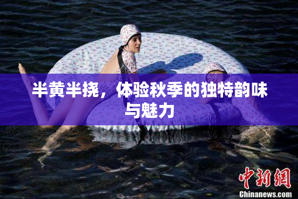 半黄半挠，体验秋季的独特韵味与魅力