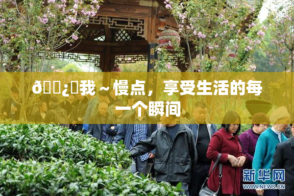 🌿‌我～慢点，享受生活的每一个瞬间