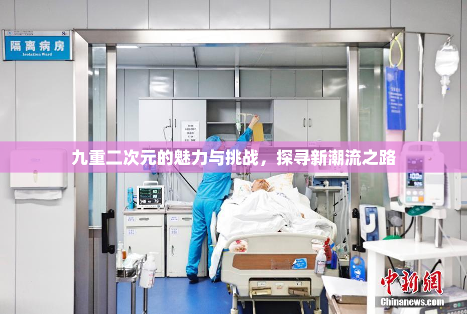 九重二次元的魅力与挑战，探寻新潮流之路