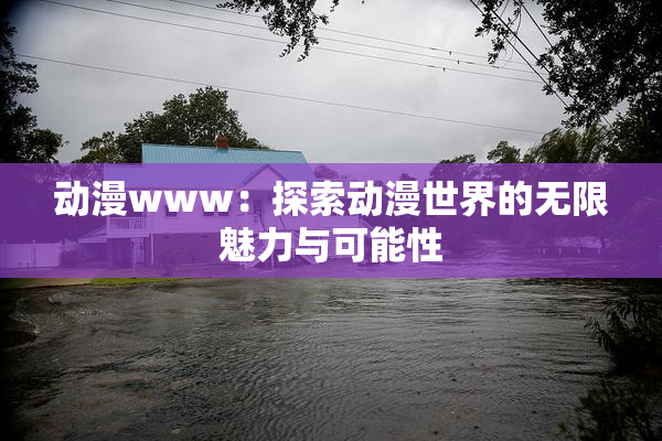 动漫www：探索动漫世界的无限魅力与可能性