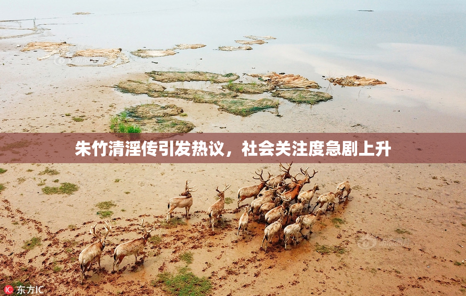 朱竹清淫传引发热议，社会关注度急剧上升