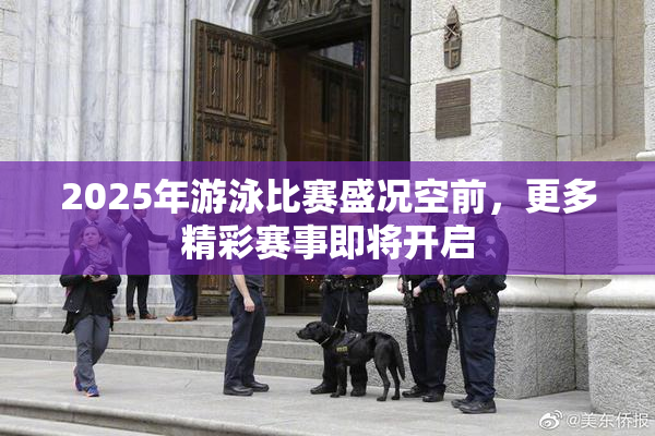 2025年游泳比赛盛况空前，更多精彩赛事即将开启