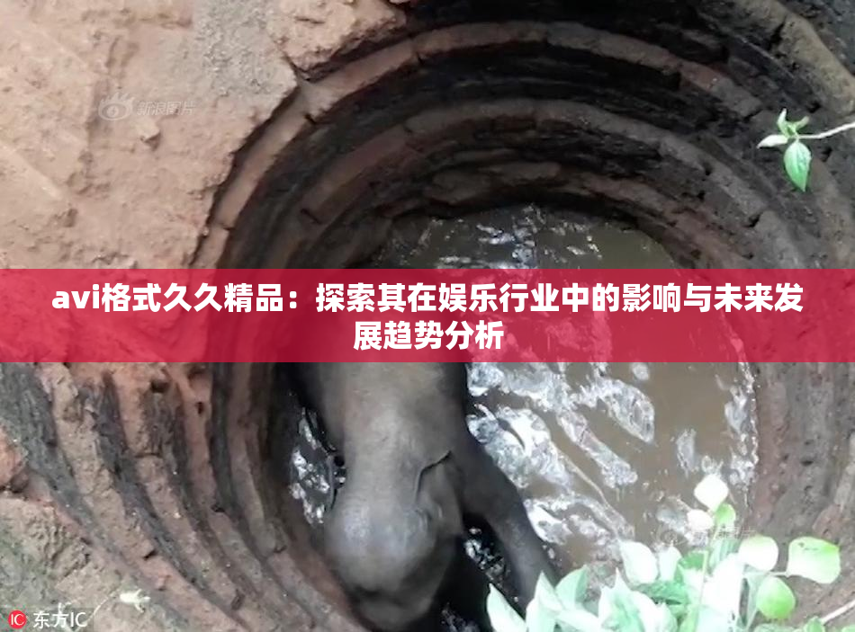 avi格式久久精品：探索其在娱乐行业中的影响与未来发展趋势分析