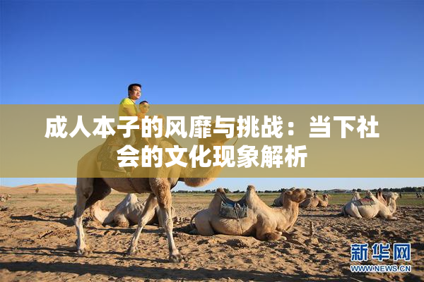 成人本子的风靡与挑战：当下社会的文化现象解析