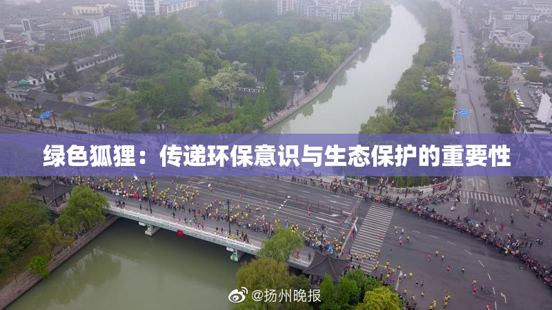 绿色狐狸：传递环保意识与生态保护的重要性