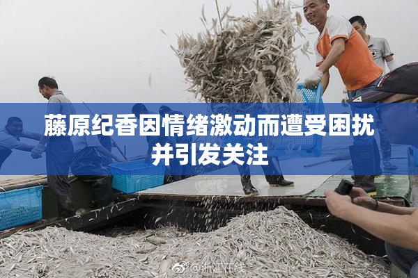 藤原纪香因情绪激动而遭受困扰并引发关注