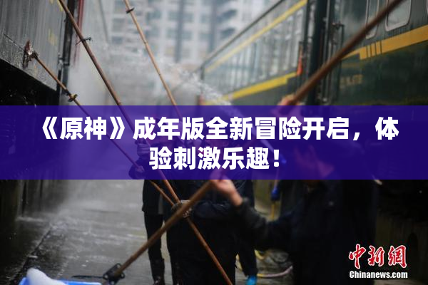 《原神》成年版全新冒险开启，体验刺激乐趣！