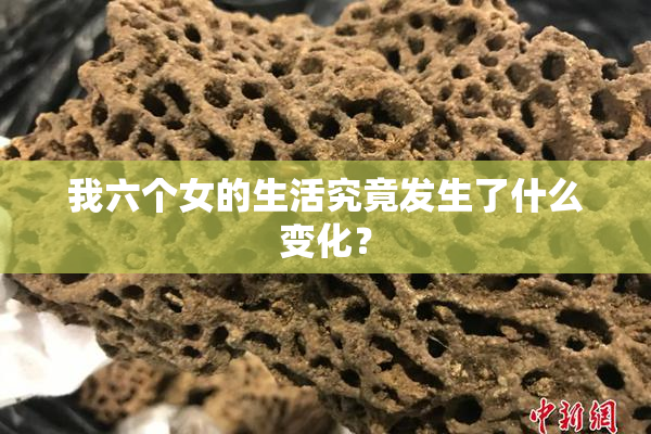 我六个女的生活究竟发生了什么变化？