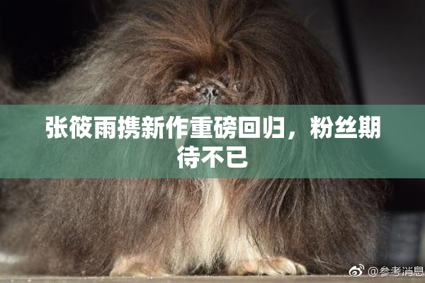 张筱雨携新作重磅回归，粉丝期待不已