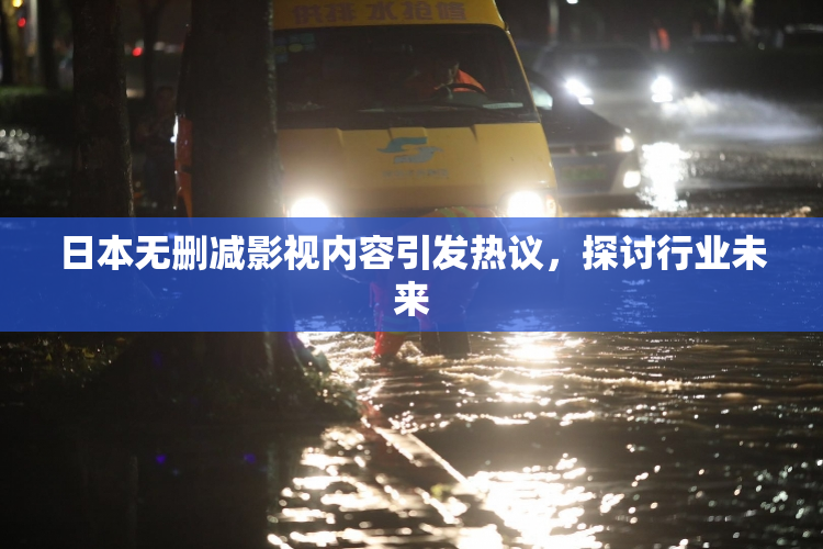 日本无删减影视内容引发热议，探讨行业未来