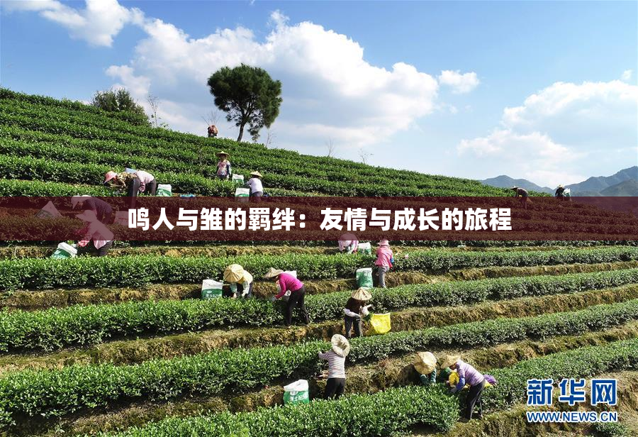 鸣人与雏的羁绊：友情与成长的旅程