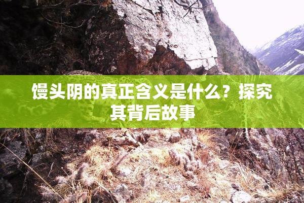 馒头阴的真正含义是什么？探究其背后故事
