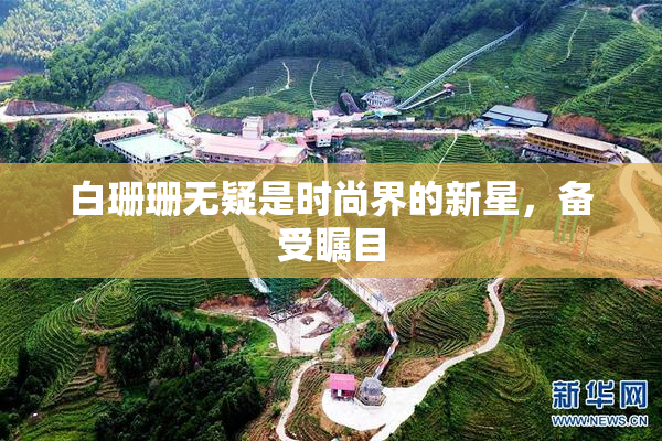 白珊珊无疑是时尚界的新星，备受瞩目