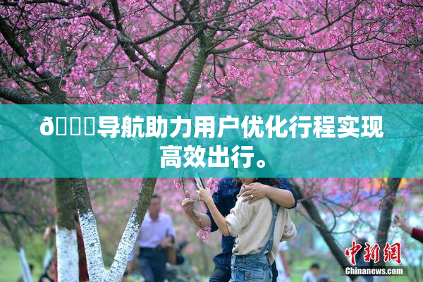 🍓导航助力用户优化行程实现高效出行。