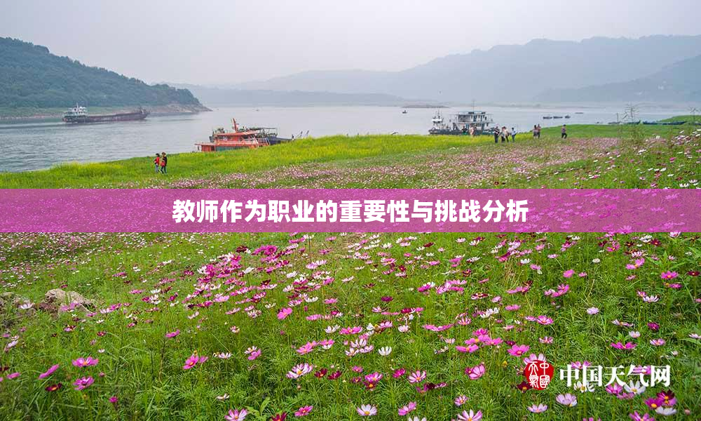 教师作为职业的重要性与挑战分析